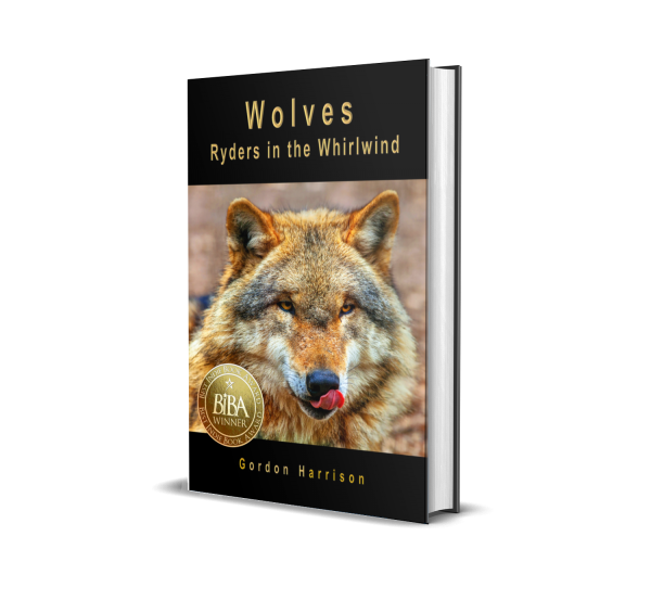 Wolves: Ryders In The Whirlwind 3