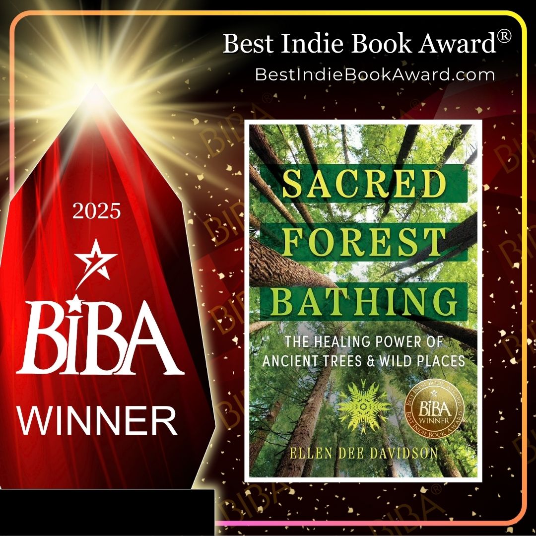 2025 BIBA Literary - Sacred Forest Bathing - Ellen Dee Davidson Sacred Forest Bathing, The Healing Power of Ancient Trees & Wild Places 2