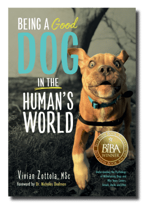 2025 Best Indie Book Award® Winners! 17