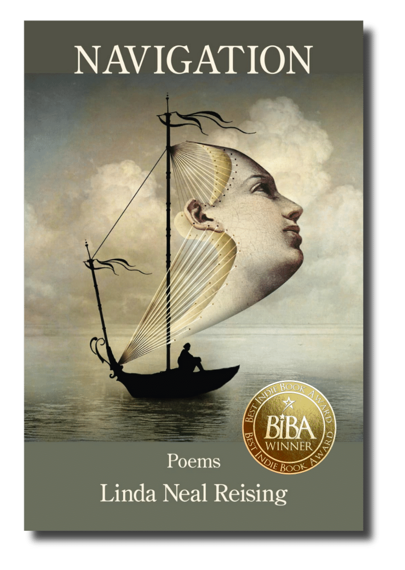 Navigation Navigation 1