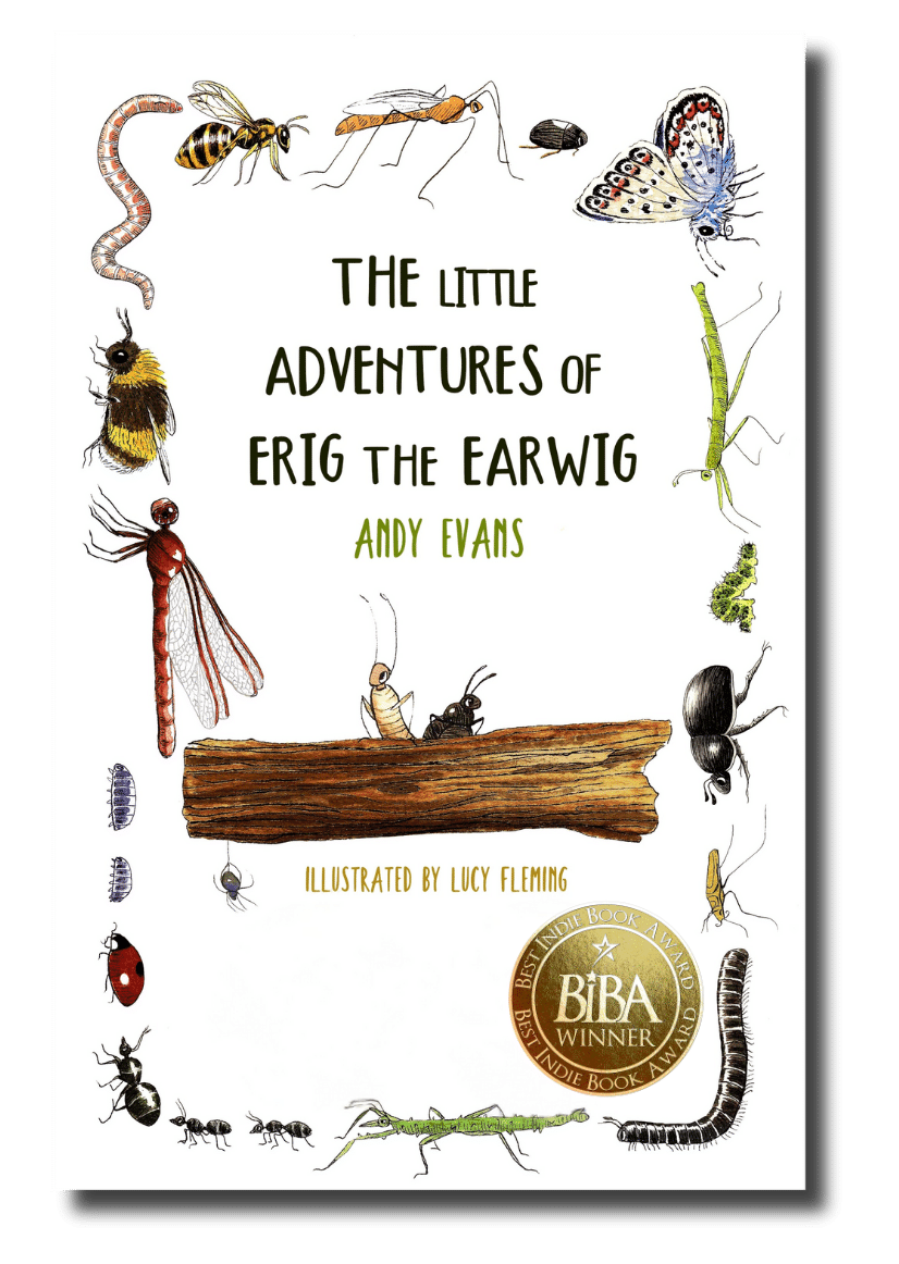 The Little Adventures of Erig The Earwig The Little Adventure of Erig the Earwig 1